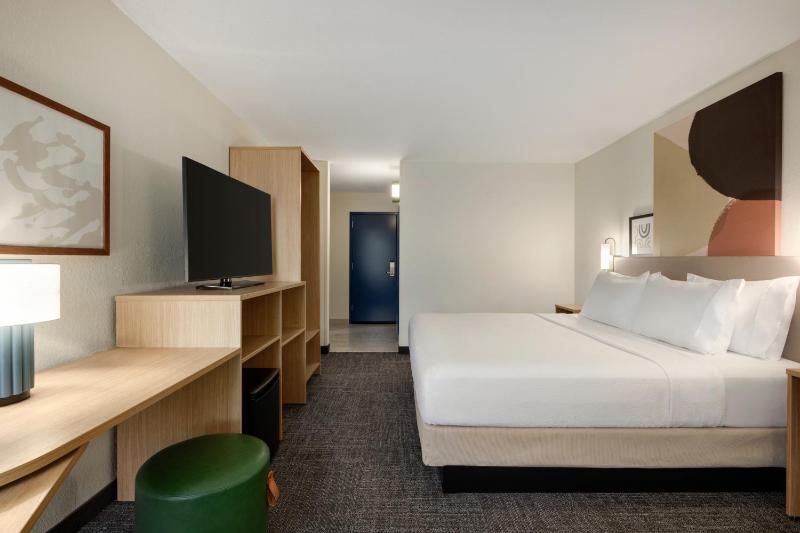 King Room with Roll-In Shower - Mobility Access image 3