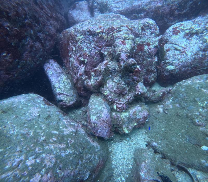 Eiffel Sea Resort - image 41
