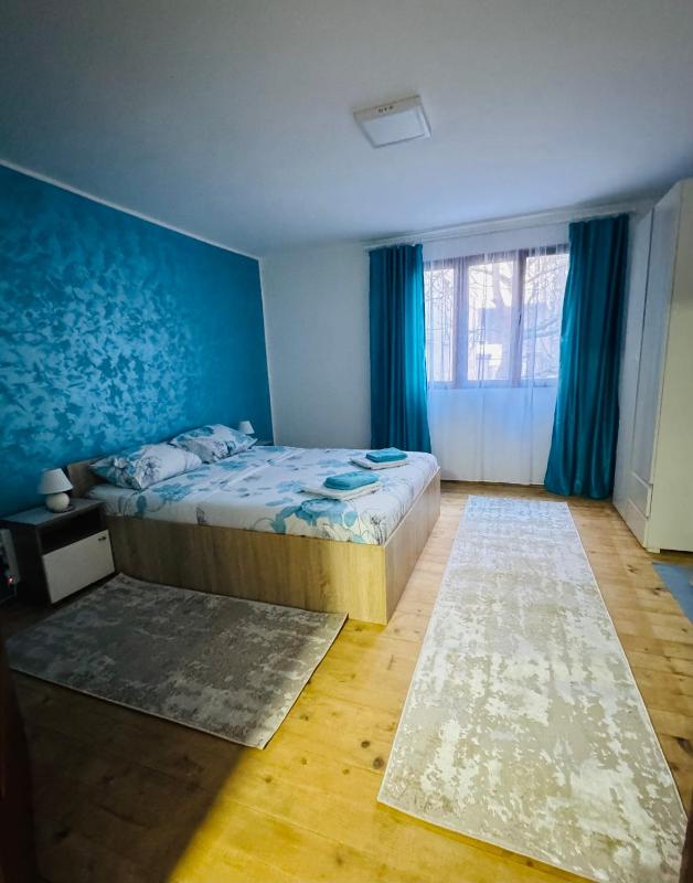Vračarska kućica - image 1