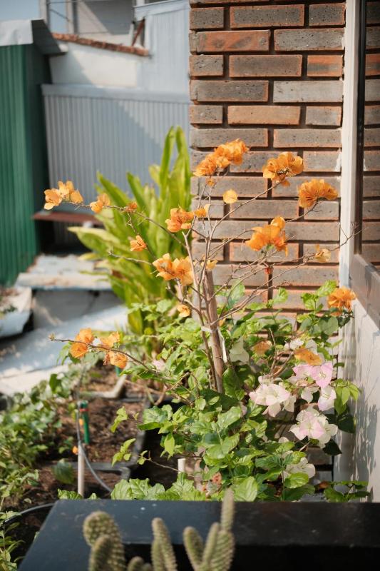 Dori Homestay - image 13