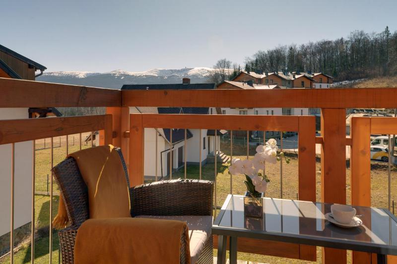 One-Bedroom Apartment with Balcony and Mountain View   image 1