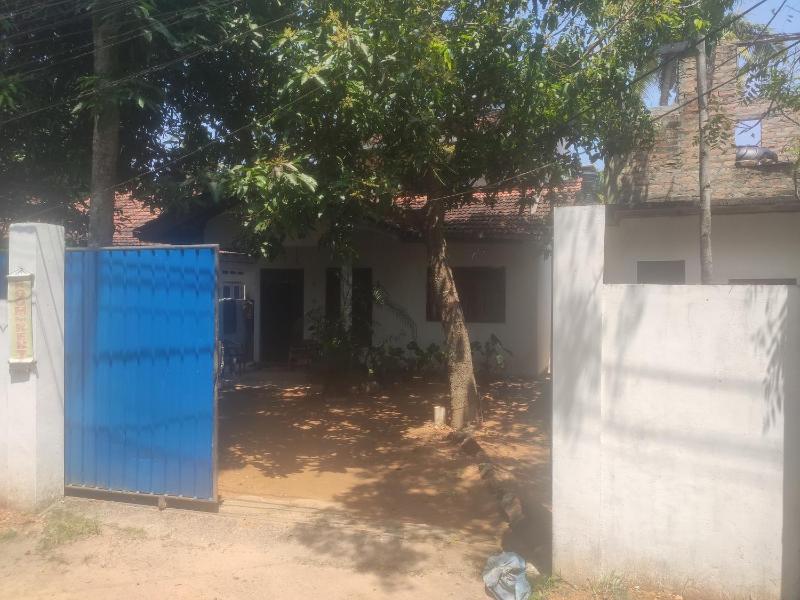 Menik's place - image 6