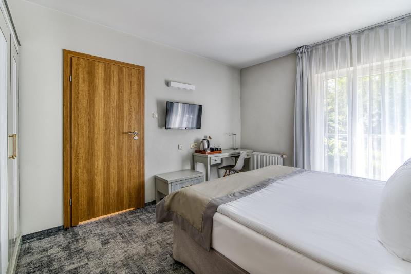 Deluxe Double Room image 4
