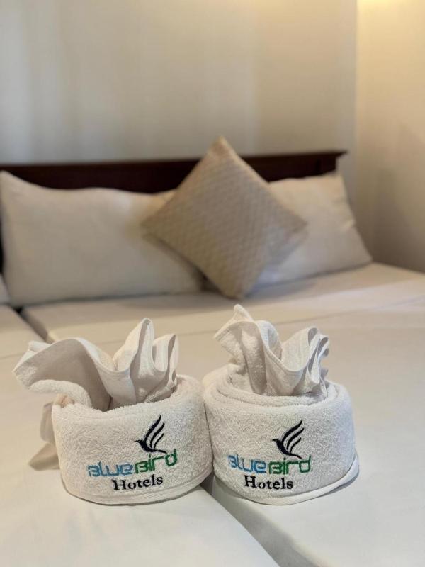 Villa Blue Bird - image 13