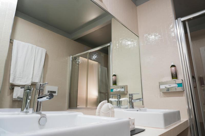 Deluxe King Suite image 4