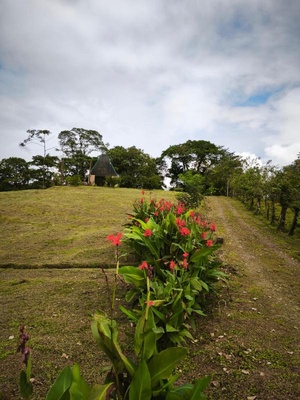 Quinta Túru - image 2