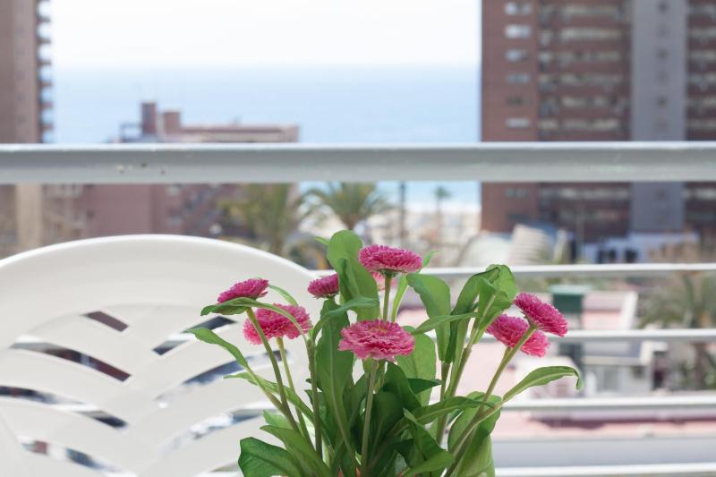 Apartamentos Niza - image 13