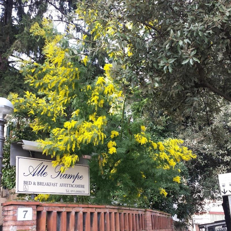 Villa Alle Rampe - image 8