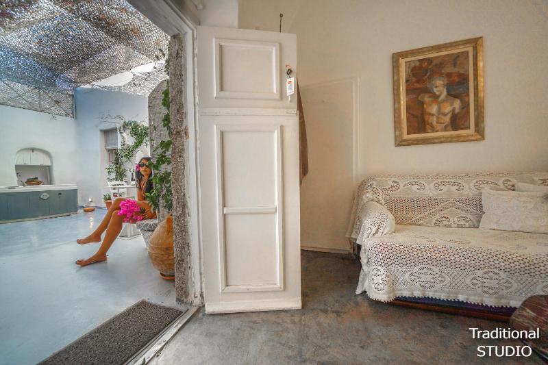 Santorini Paradise Cave Houses - image 43