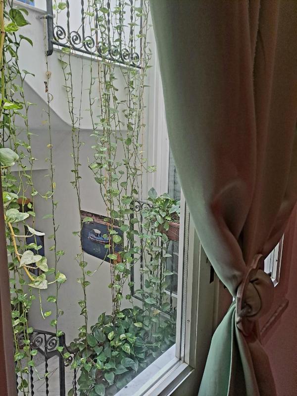 Standard Double Room image 4