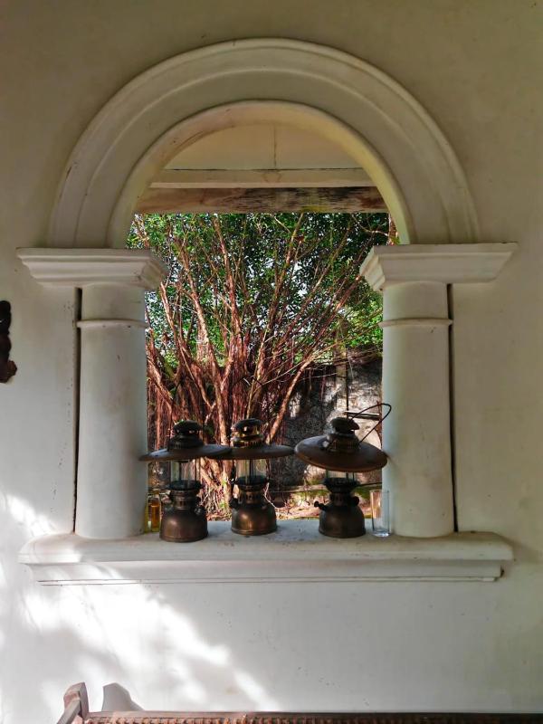 The Nature Palace Villa - image 2