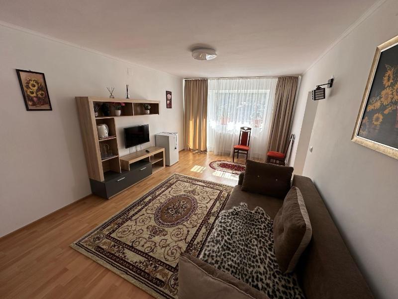 One-Bedroom Apartment image 4