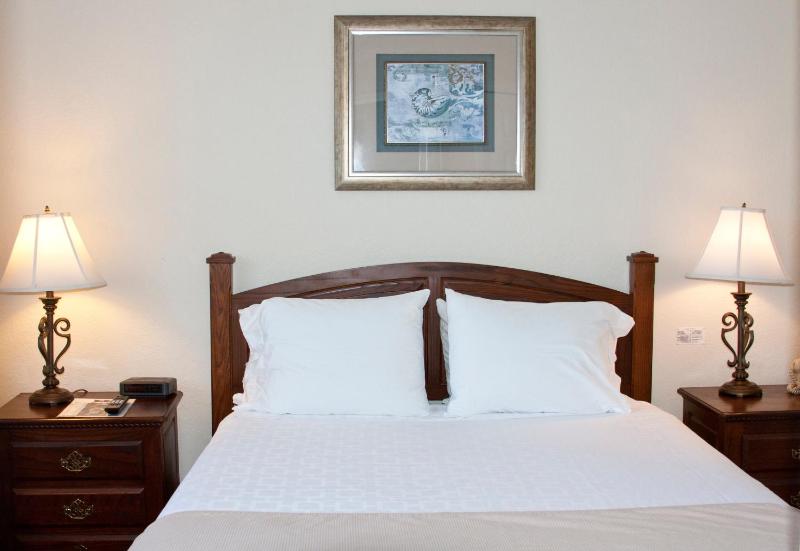 Classic Suite image 4