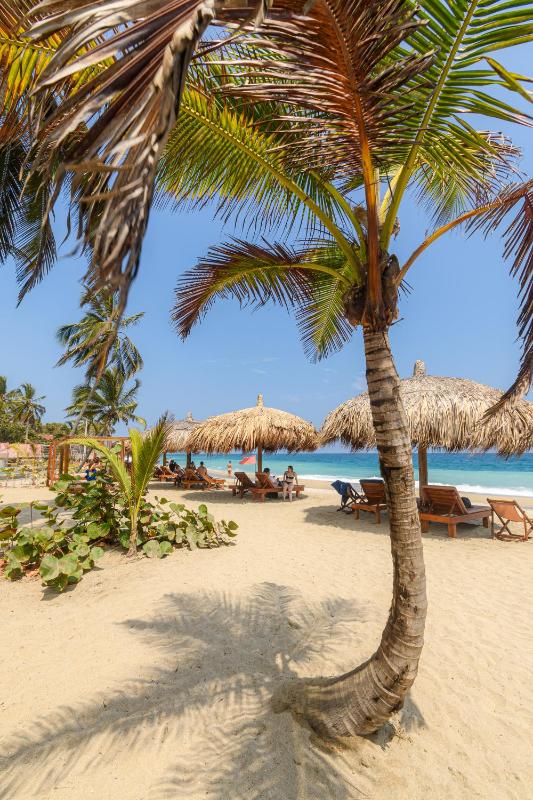 Senda Kokkos Beach Tayrona - image 8