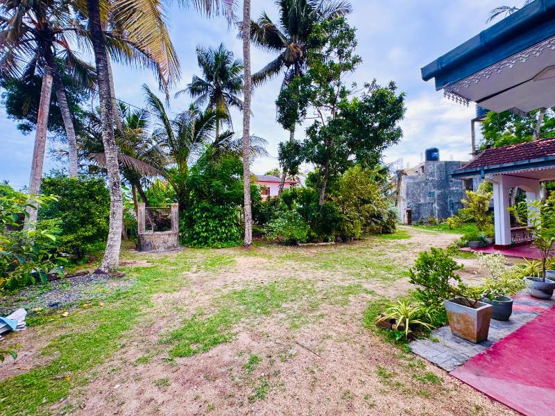 Blue Heaven Guest House - image 10