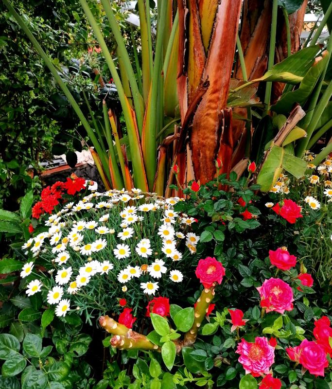 La Foresteria Garden Boutique B&B - image 9