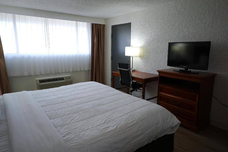 King Room - Non-Smoking image 1
