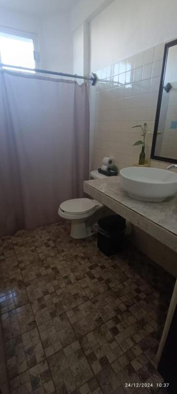Hotel Coral - image 9