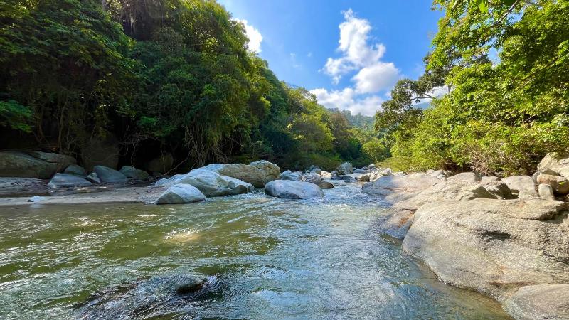 Senda Koguiwa Tayrona Nature Hotel - image 7