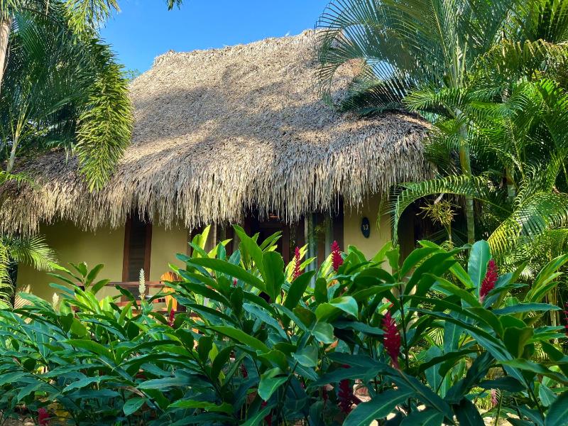 Senda Koguiwa Tayrona Nature Hotel - image 34