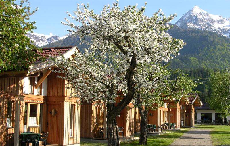 Glamping Chalet image 4