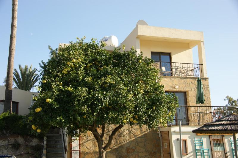 One-Bedroom House image 4