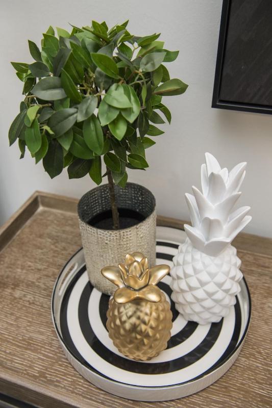 STAY Urban Skin Suite - image 13