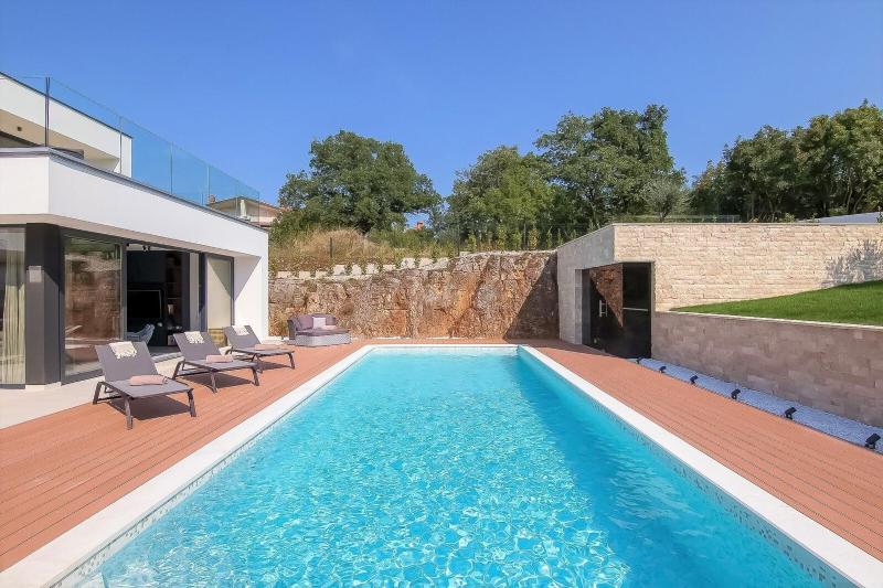Villa #1 for 8 people near Rovinj with 50 m2 private pool sauna & pet friendly - image 13
