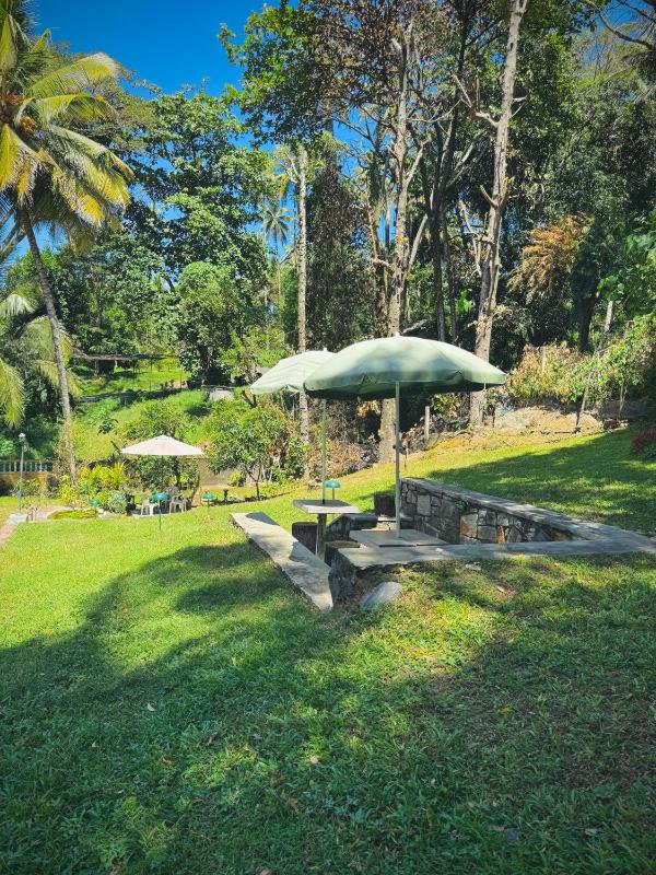 Mahaweli View Bungalow - image 3