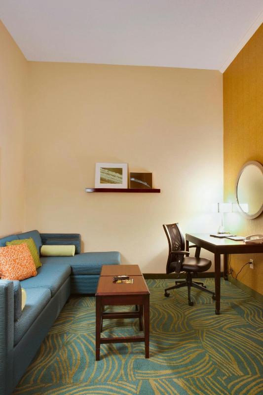 SpringHill Suites by Marriott Savannah Airport - image 20