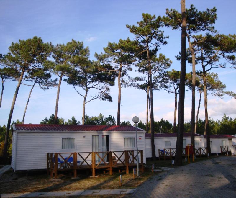 Mobile Home image 3