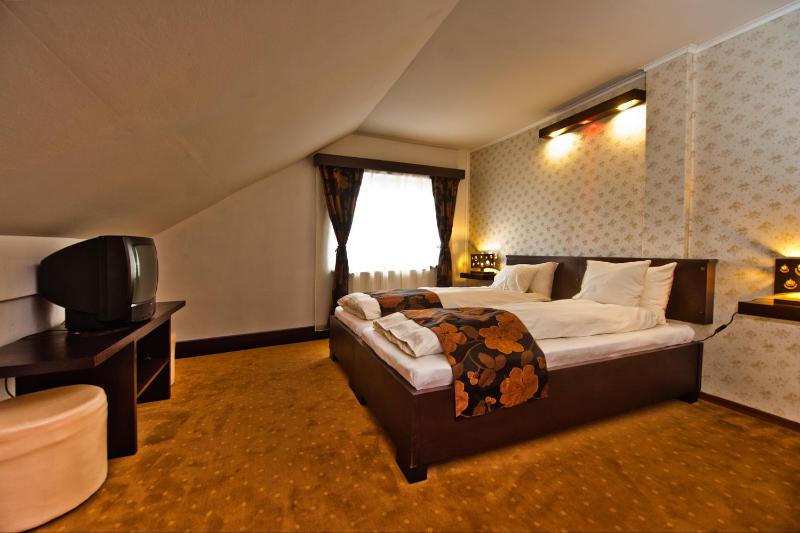 Superior Double Room image 3