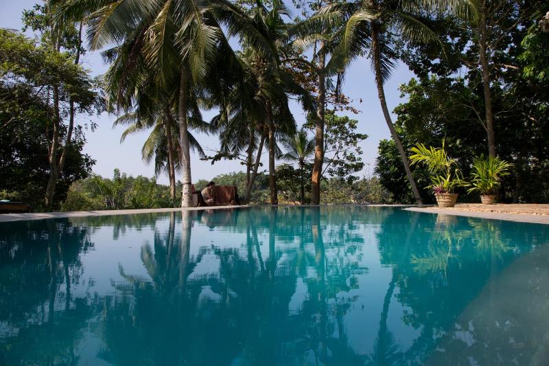 Stone Well Garden Villa - image 4