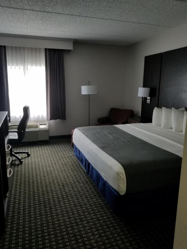 King Room image 4