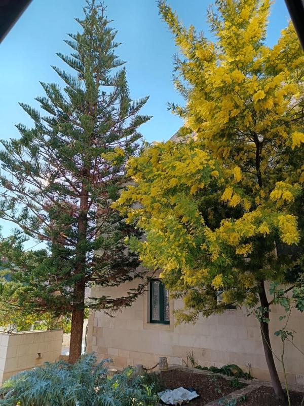 Apartment with Terrace image 2