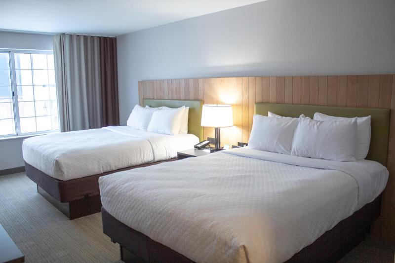 Queen Room with Two Queen Beds - Disability Access image 3