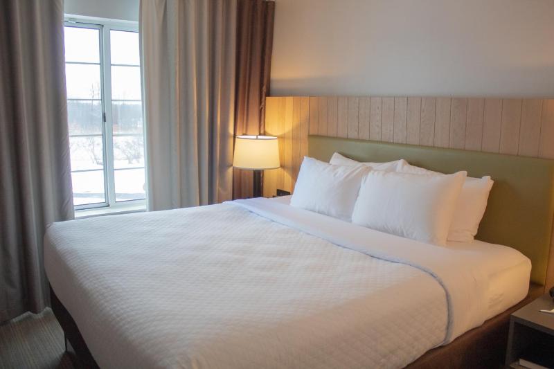 One-Bedroom King Suite with Sofa Bed image 2