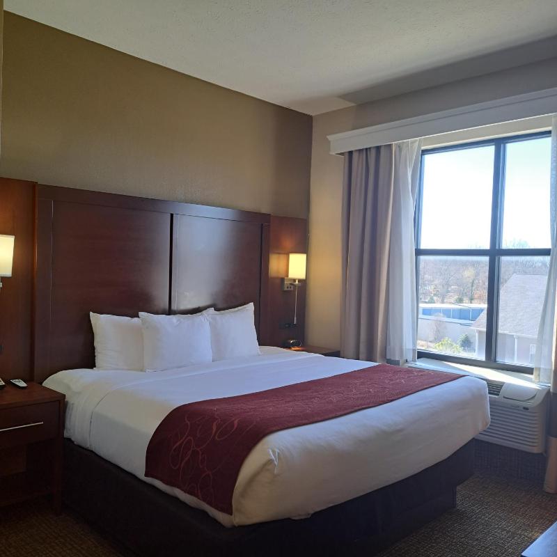King Suite image 4