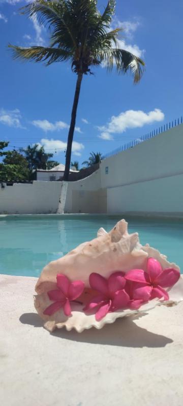 Hotel Coral - image 11