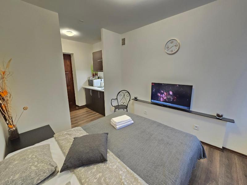 S4 Studio Apartment - image 30