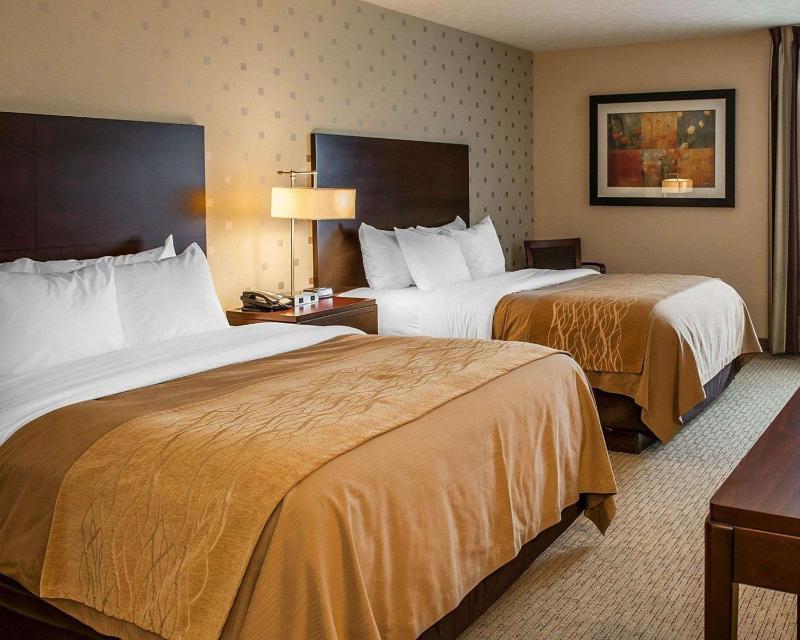 Queen Room with Two Queen Beds - Non-Smoking image 4