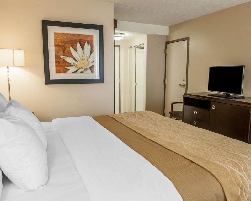 King Room - Non-Smoking image 3