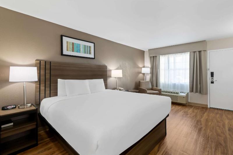 King Room - Non-Smoking image 4