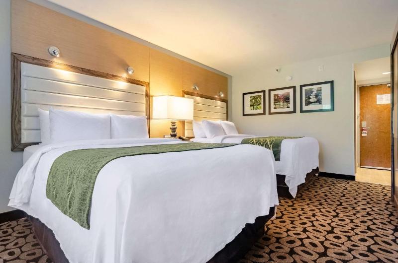 Queen Room with Two Queen Beds - Non-Smoking image 4