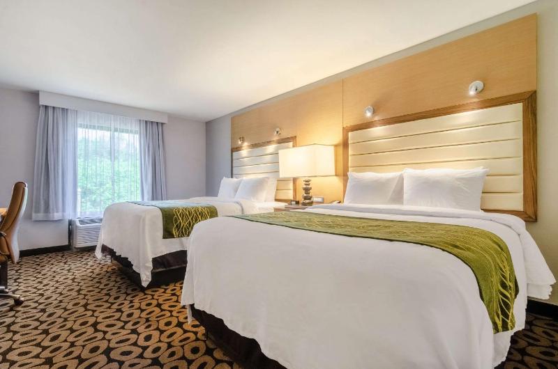 Queen Room with Two Queen Beds - Non-Smoking image 4