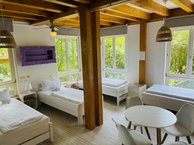 Family Room with Shared Bathroom image 4