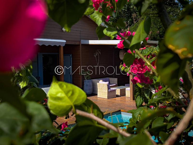 PROMO ! Villa bois & Prestige 3CH à 5 min de la plage des raisins clairs - image 9