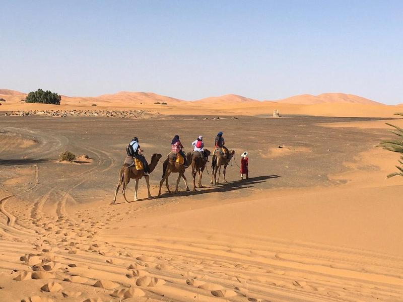Hotel Les Roches Merzouga - image 30
