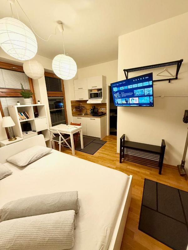 One-Bedroom Apartment image 4