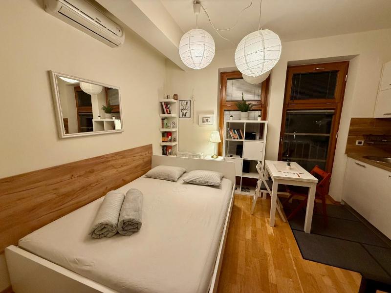 One-Bedroom Apartment image 2